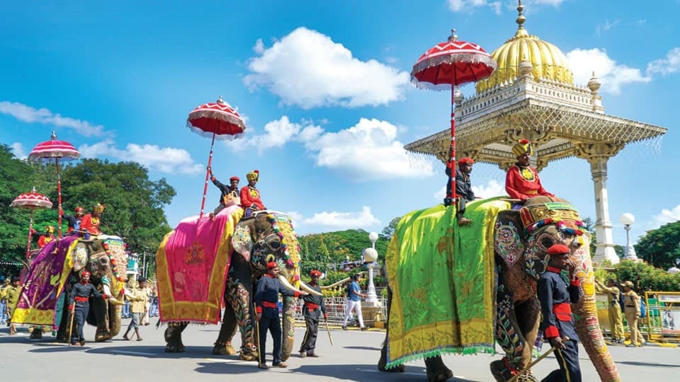 Mysuru Dasara photography