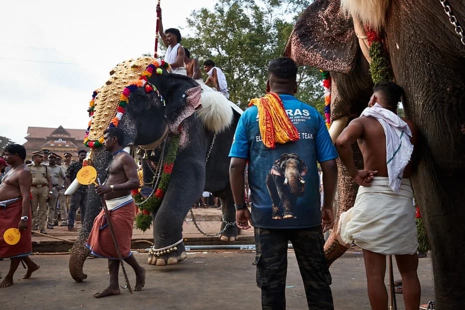 Thrissur Pooram