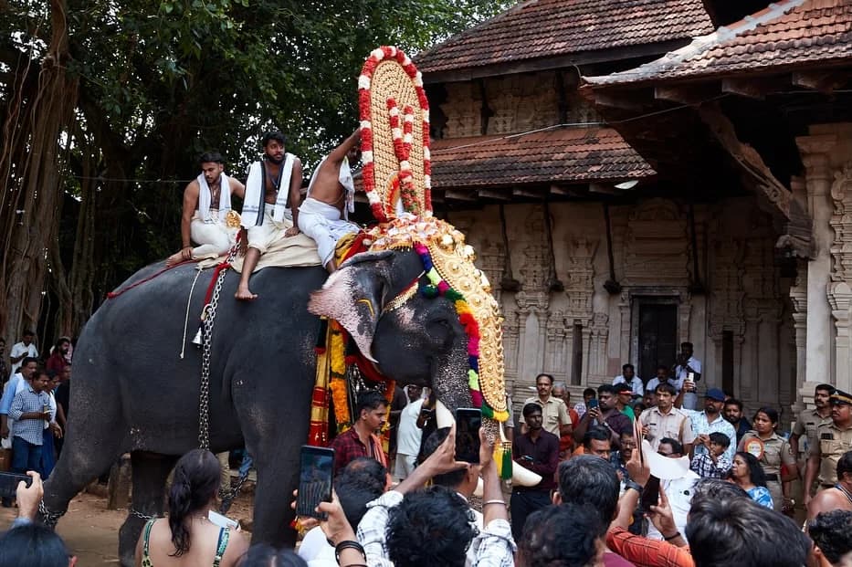 Thrissur Pooram