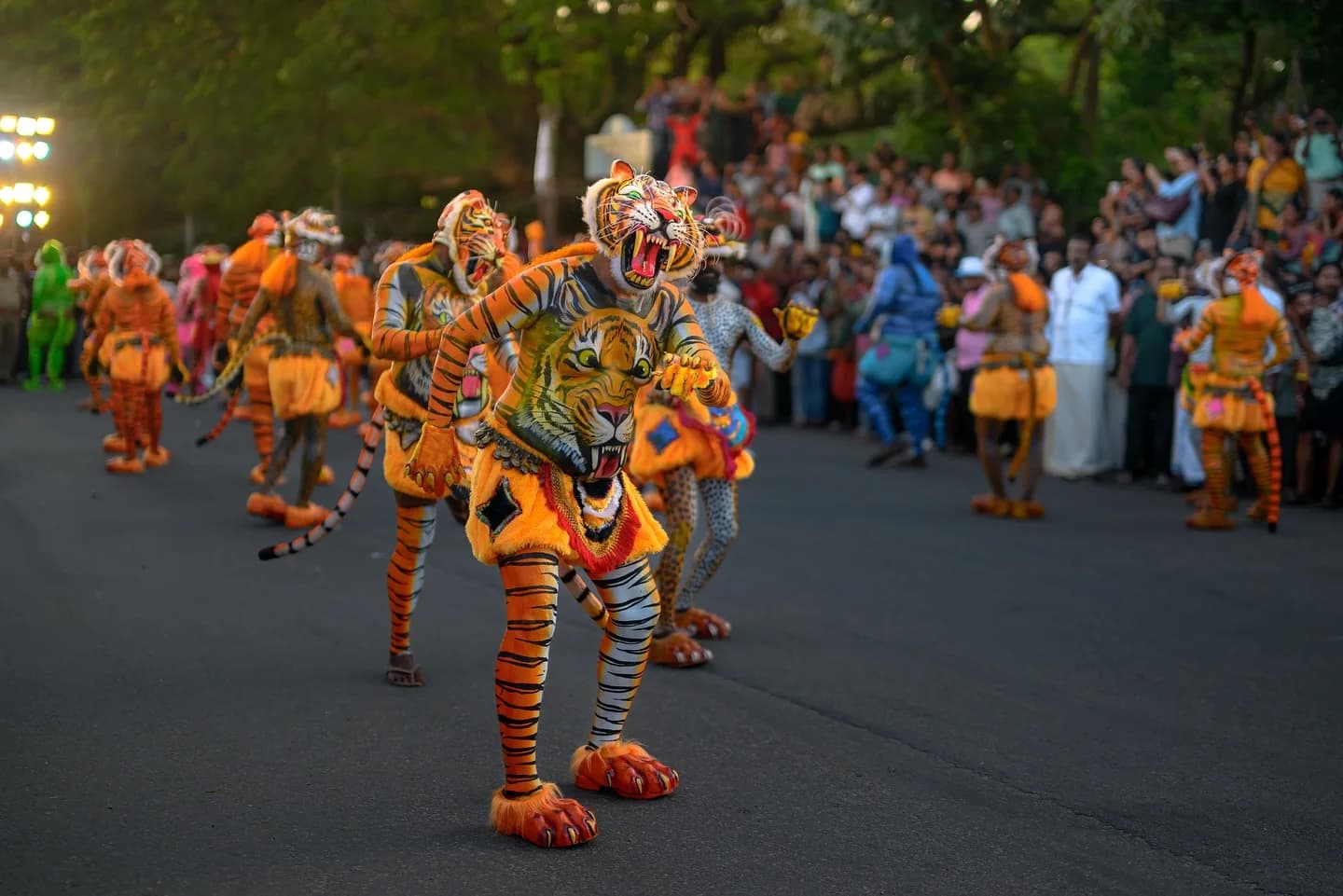 Thrissur Pulikali