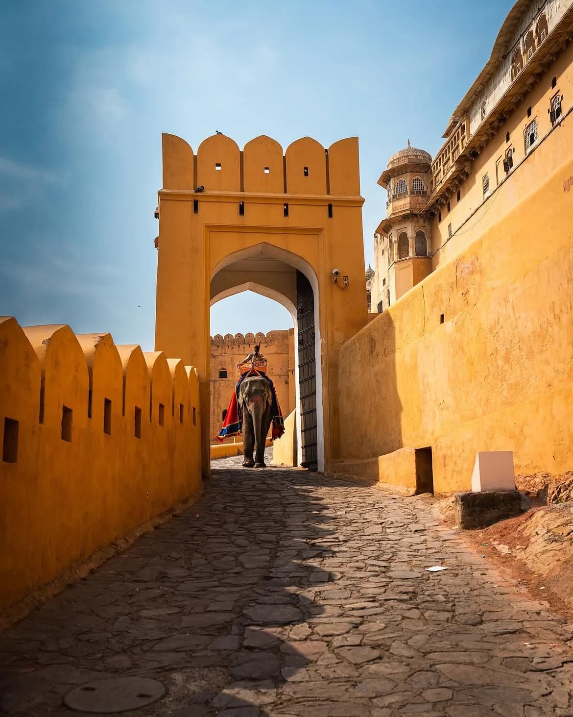 Jaipur Walled City and Amber Fort