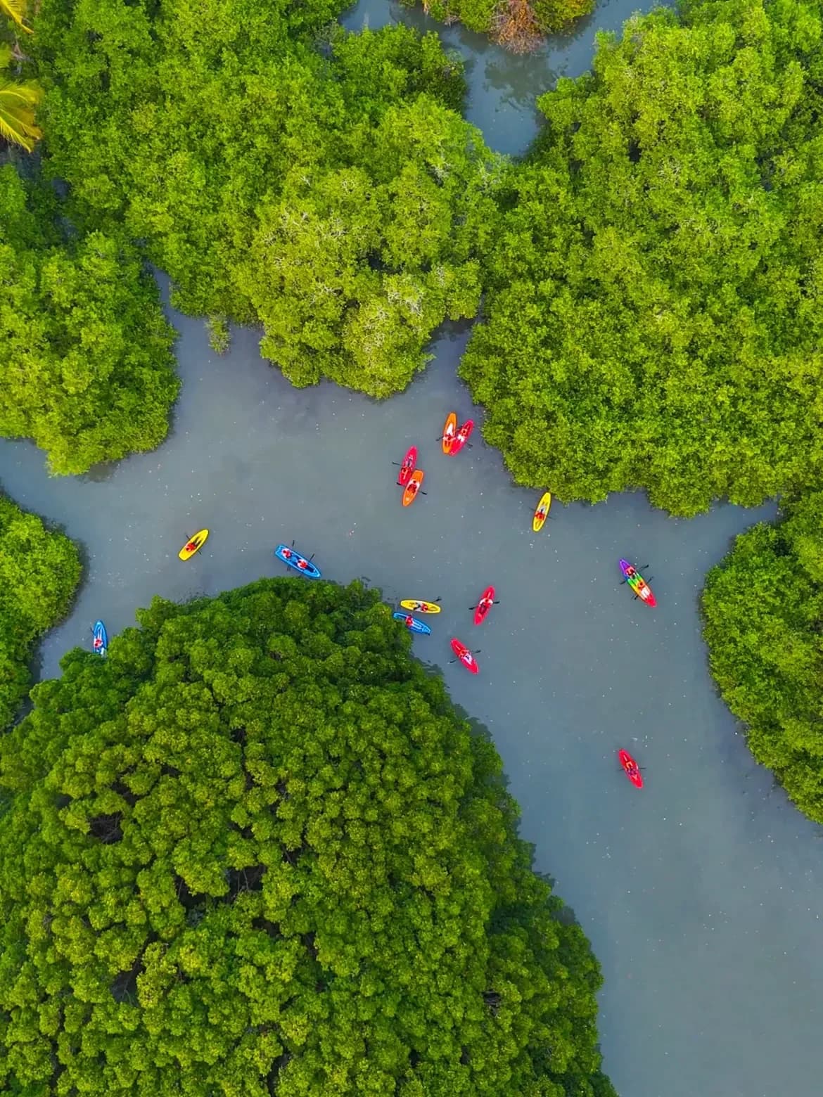 Kadalundi Bird Sanctuary