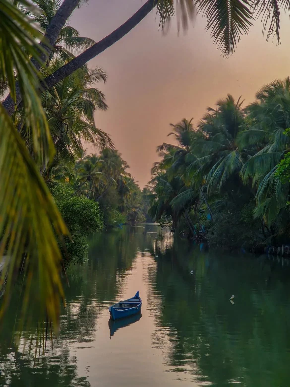 Kadalundi Bird Sanctuary