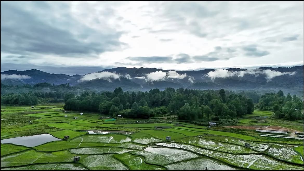 Ziro Valley